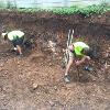 Earthwork Services | Kruzer Earthmoving